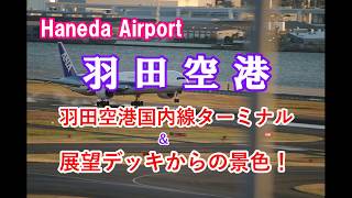 旅客機が飛び交う！羽田空港第1ターミナル  Haneda Airport ～展望デッキ