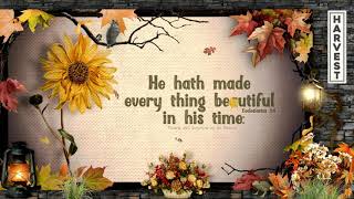 Today's Video Bible Verse "He hath made every thing beautiful in his time:"