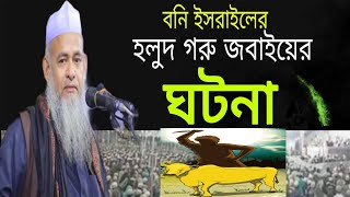 আল্লামা ফরিদ উদ্দিন আল মোবারক ওয়াজ ২০২৩ | সুরা বাকারা থেকে বনি ইসরায়েলের হলুদ গরু জুবাইয়ের ঘটনা |