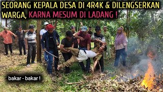 SEORANG KEPALA DESA DI 4R4K \u0026 DILENGSERKAN WARGA, KARNA MESUM DI LADANG , AKHIRNYA BIKIN MLONGO