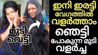 കൊഴിഞ്ഞു തീർന്ന മുടി ഇരട്ടി വേഗത്തിൽ തിരിച്ചു വളർത്താം🔥30Days hairgrowth challenge