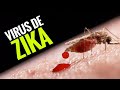 ¿Qué es el zika?: diagnóstico, síntomas, tratamiento y prevención