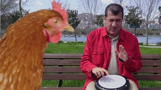 BİLAL GÖREGEN - Levan Polkka Serbest Gezen Tavuk Versiyonu