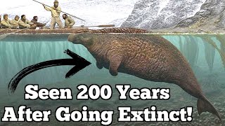 The Last Confirmed Sightings of Four Extinct Animals