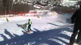 Ski Cross Crash