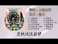 【歌手專輯】麗莎 | 專輯：心聲淚影 | 老歌經典 | 百聽不厭 | 完整歌曲專輯 | 字幕版