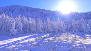 4K映像「白銀樹氷 厳冬の北八ヶ岳 坪庭自然園」日本の美しい四季 長野県茅野市 12月下旬 ホワイトクリスマス 雪景色 冬景色 絶景自然風景