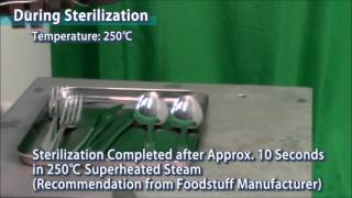 Superheated Steam Applications by Tokuden