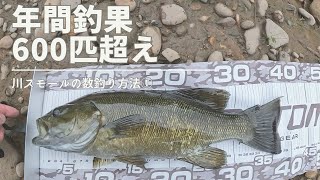 【バス釣り】川スモールの数釣りの秘訣①【スモールマウスバス】