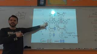 Pedigree Problem