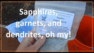 Treasure Hunt with Sapphire Gravel. What did I find?