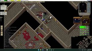 Ultima Online [Dark Paradise] - Ankh 2