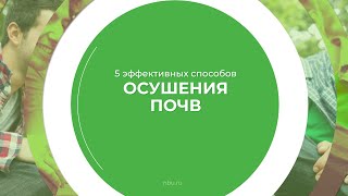 Дистанционный курс обучения «Мелиорация» - 5 эффектов осушения почв