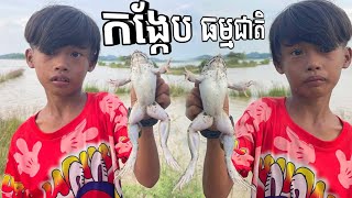 របៀប បបក់កង្កែប ដោយប្រើ ដង Casting | The method for frog hunting using a casting rod