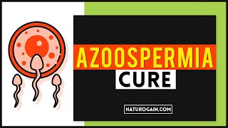 How to Get Pregnant Male Infertility Due to No Sperm Azoospermia Cure