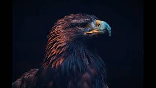 Eagle Song | Shamanic Drumming | Powerful Meditation Music