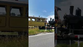 Dampflok / steam locomotive #shorts #switzerland