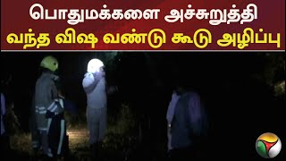 திருவாரூரில்  பொதுமக்களை அச்சுறுத்தி வந்த விஷ வண்டு கூடு அழிப்பு | PTT