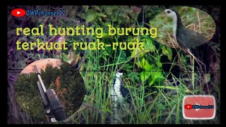 SECUKUPNYA || BERBURU RUAK2 || KOMPILASI VIDEO !#berburu #hunting #hobi #akurasi