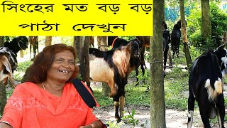 তৃতীয় লীঙ্গের সর্দারের বিশাল দেহের পাঠা।। এত বড় বড় পাঠা কোনদিন দেখিনি ।। #pathar