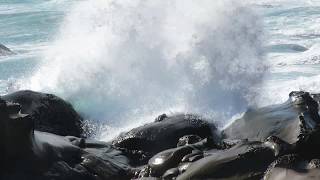 雲林縣土庫鎮外內丹功運動協會107年秋旅-19-佳樂水-7-海浪激起千堆雪