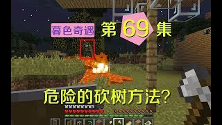 我的世界阿阳暮色奇遇69：用岩浆烧树？这个危险方法静静跟谁学的