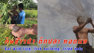 กินข้าวป่า ตึกปลา ทอดแห Eat wild rice, fish building, fried nets