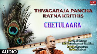 Carnatic Classical Instrumental | Thyagaraja Pancha Ratna Krithis  | Chetulaara | By Dr. N. Ramani