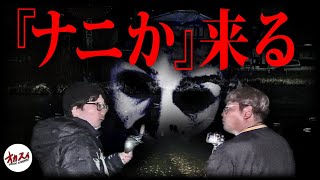 【心霊】ずっと付いてくる霊がいる…!?近付いてはいけない心霊スポットの全貌！【福岡心霊】【ぷち掃除】