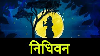 Nidhivan Vrindavan Video | Nidhivan Temple | Nidhivan live video | Nidhivan Vrindavan Mystery