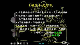 11002選修生物二ch3 2 19(補充)光呼吸(一恭)