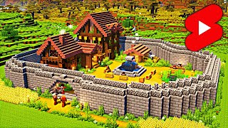 Village in Minecraft #Shorts