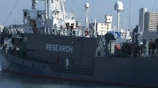 Raw: Japan Whaling Fleet Leaves for Antarctic