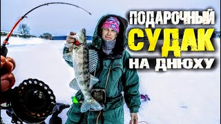 Долбанул судак на днюху!!! Полно бели.