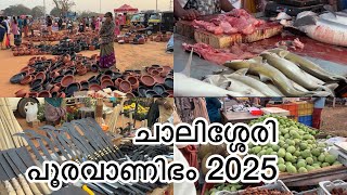 ചാലിശ്ശേരി പൂരവാണിഭം 2025\\\\chalisseri pooram||dudus midea ||