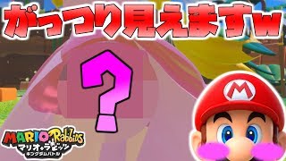 マリオテニス エース ピーチ姫のパンチラが最強にヤバすぎたwww マリオテニス エース ピーチ姫のパンチラが最強にヤバすぎたwww