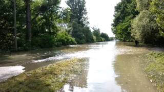 2013-06 Rheinaue bei Rastatt Plittersdorf - Hochwasser 2013 Oberrhein