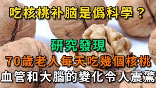 吃核桃補腦是僞科學？ 研究發現：愛吃核桃的人，血管和大腦有什麽不一樣？再忙都要看看。【幸福Talks】#中老年心語 #養老 #養生 #幸福人生 #為人處世 #深夜讀書