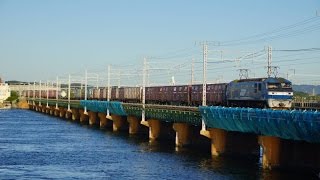 2015/09/19 JR貨物 5054レ EF210-103[吹]号機＋コキ24B 東海道本線