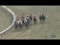 【競馬hd】2017第22回 シルクロードステークス g3 　ダンスディレクター