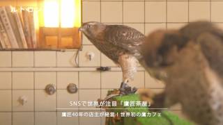 SNSで話題！ 鷹と出会える“世界初”の猛禽類カフェ「鷹匠茶屋」