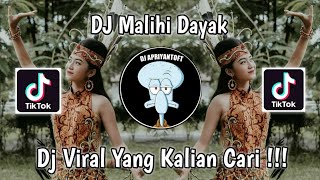 Download Lagu DJ DAYAK FULL BEAT LAGU MALIHI VIRAL TIK TOK TERBA... MP3 Gratis