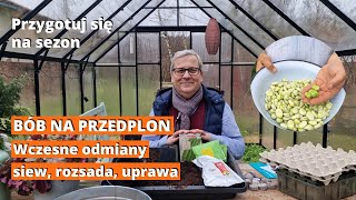 Bób na przedplon i współrzędnie. Najlepsze wczesne odmiany, siew, rozsada, nawożenie i zbiór.