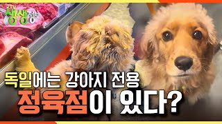 [2TV 생생정보] 세계 댕댕이 자랑~~ 독일에는 강아지 전용 정육점이 있다? KBS 230228 방송