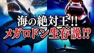 【ゆっくり解説】海の支配者メガロドン‼～現代に蘇る生存説⁉