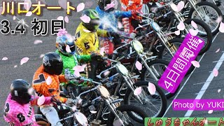 3.4川口オート【4日間開催】初日予選9R~12R動画 青山周平選手登場！消音との相性は？良走路晴天！！【しゅうちゃんオート】