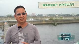 屏東佳冬室外專養- 白蝦 陳登木