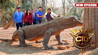 Dragon Lizard से हुआ CID Team का सामना | CID | सी आई डी | New Episode 2025