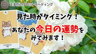 見た時がタイミング！あなたの今日の運勢✨