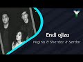 Nigina (tik tok) Sherdar & Serdar - Endi ojiza (AUDIO) mp3